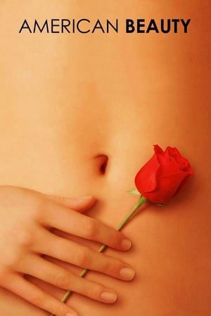 American Beauty (1999) Hindi Dual Audio 480p BluRay 390MB